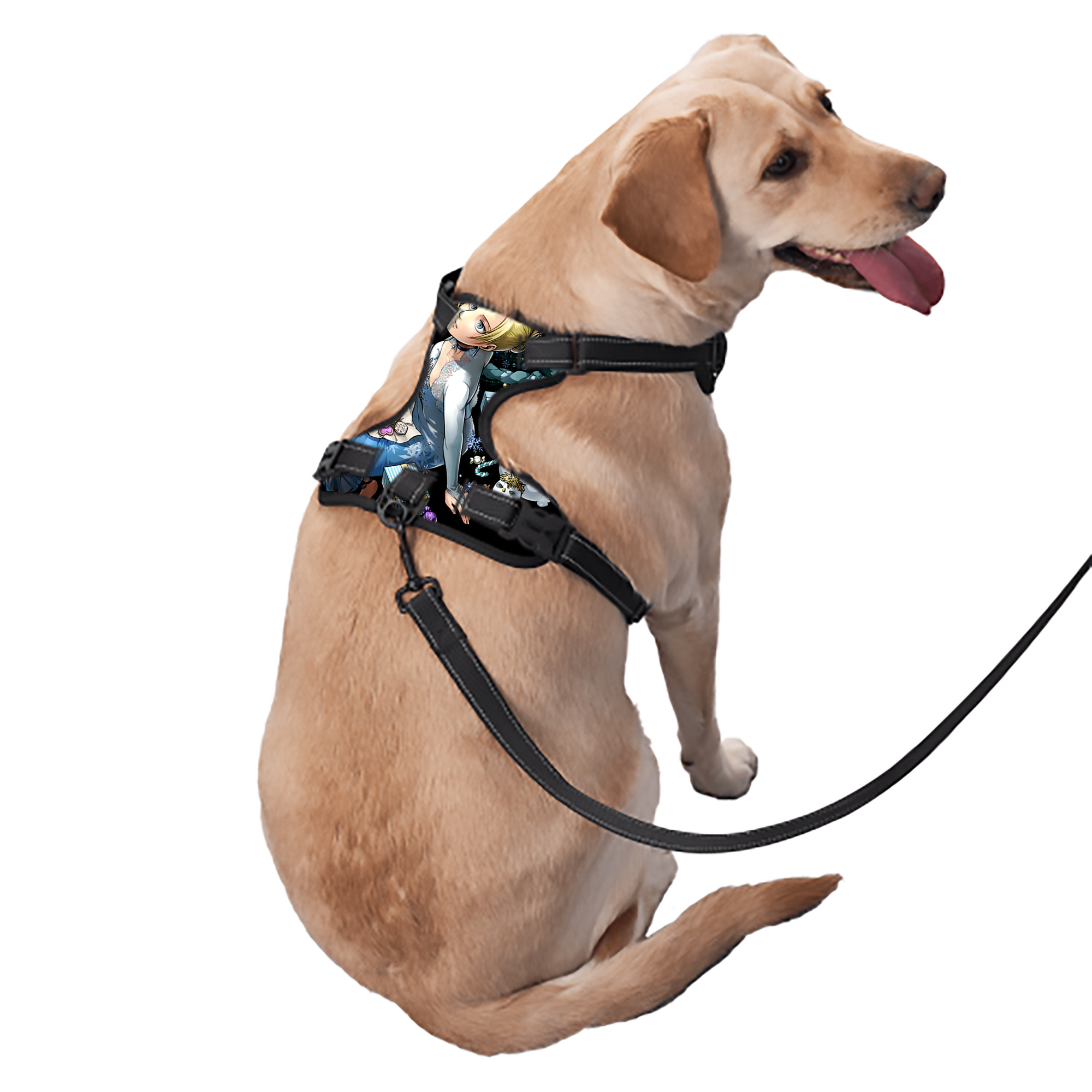 （画像用） 進撃の巨人 アニ・レオンハート Attack on Titan Annie Leonhart ペット用ハーネス